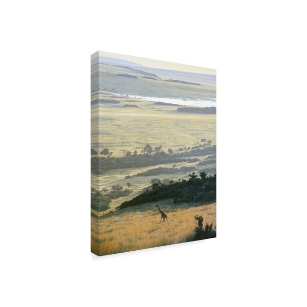Ron Parker 'Morning On The Mara' Canvas Art,14x19